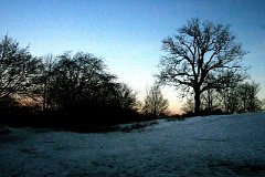 photo 0253